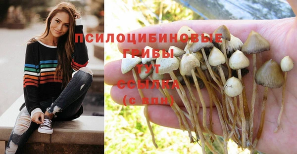 spice Верхнеуральск