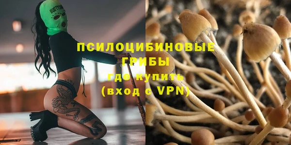 2c-b Верея
